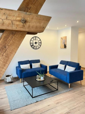 Appartement hyper centre lit King Seize